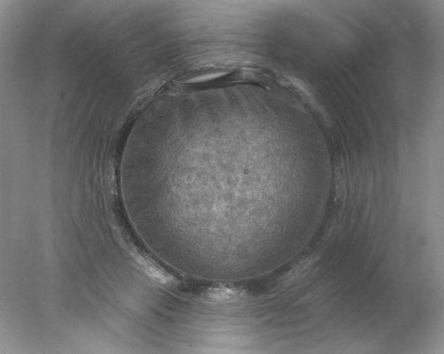 X0000078010453200611101825