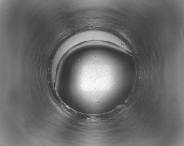 X0000078010455200611101825