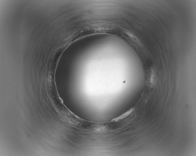 X0000078010456200611101825