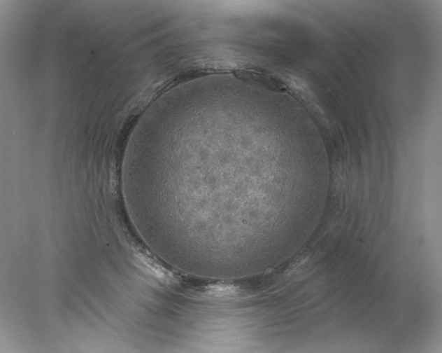 X0000078010457200611101825