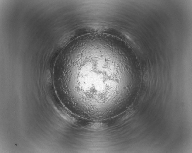 X0000078010459200611101825