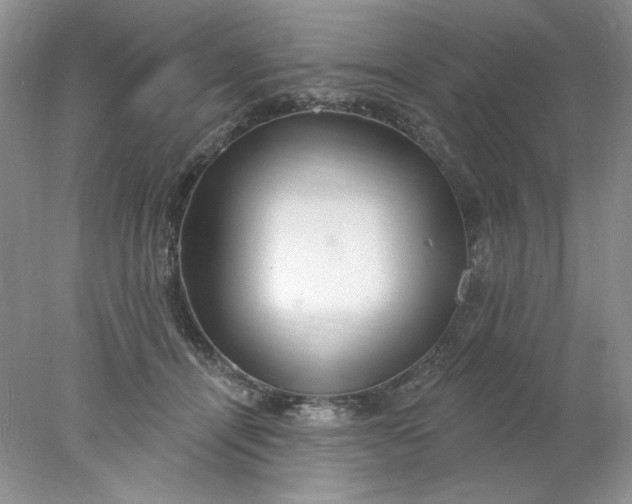 X0000078010464200611101825