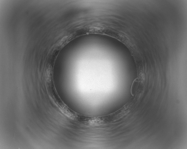 X0000078010468200611101825