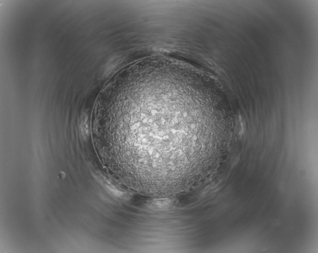 X0000078010479200611101825