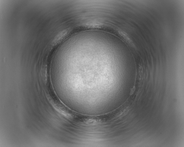 X0000078010494200611101824
