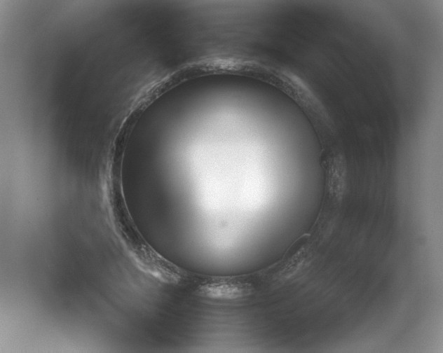 X0000078010500200611101824