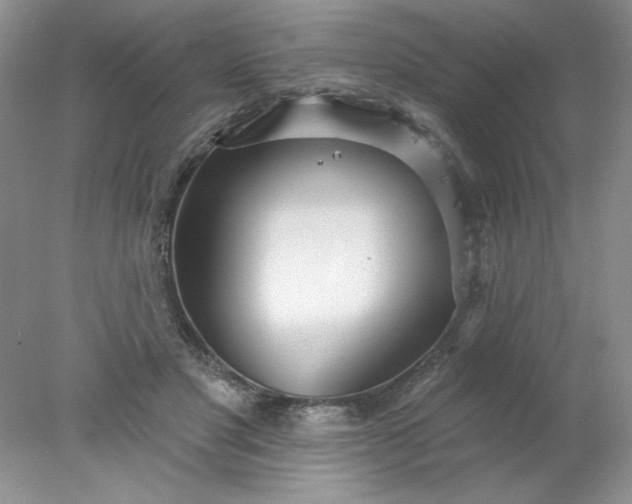 X0000078010501200611101824