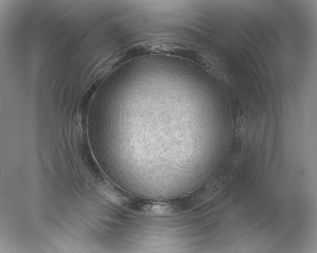 X0000078010506200611101824