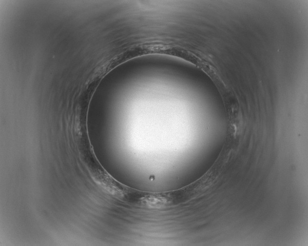X0000078010512200611101824