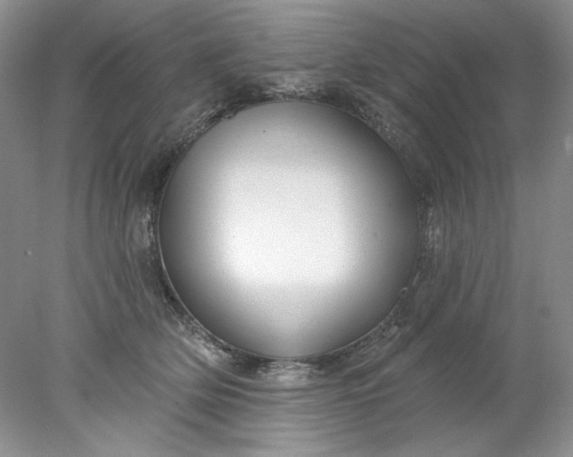 X0000078010514200611101824