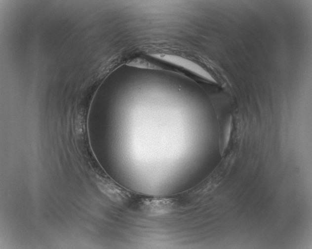 X0000078010517200611101824