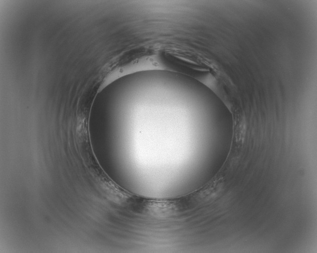 X0000078010521200611101824