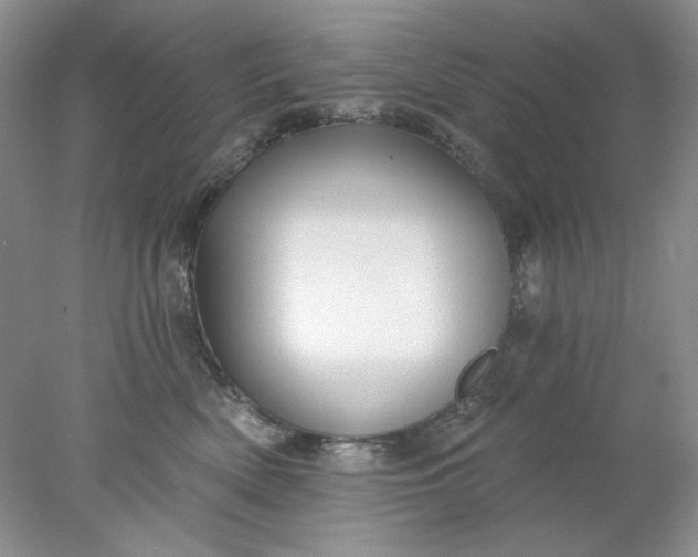 X0000078010522200611101824