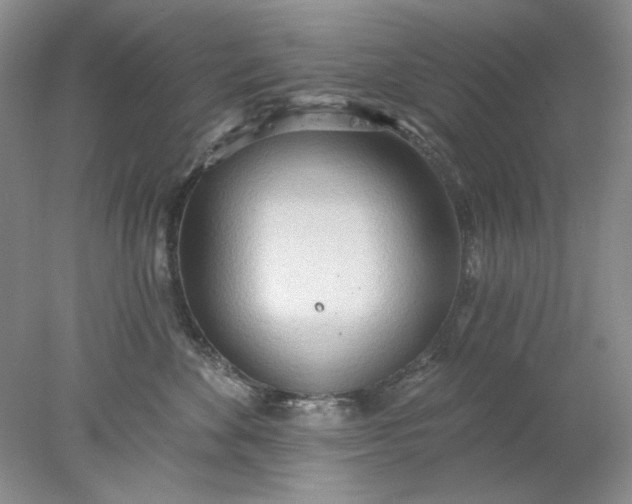 X0000078010524200611101824