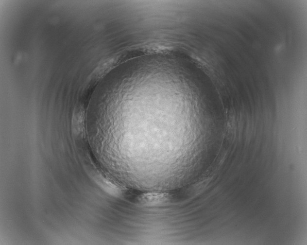 X0000078010526200611101824