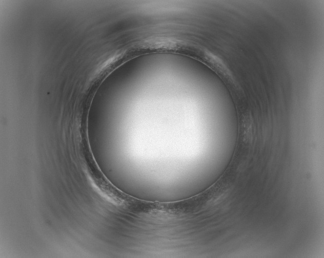 X0000078010538200611101823
