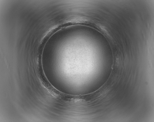 X0000078010539200611101823
