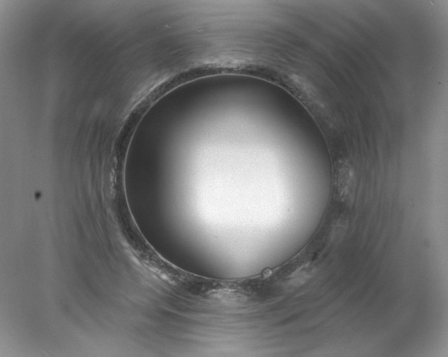 X0000078010544200611101823