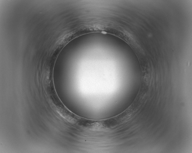 X0000078010548200611101823
