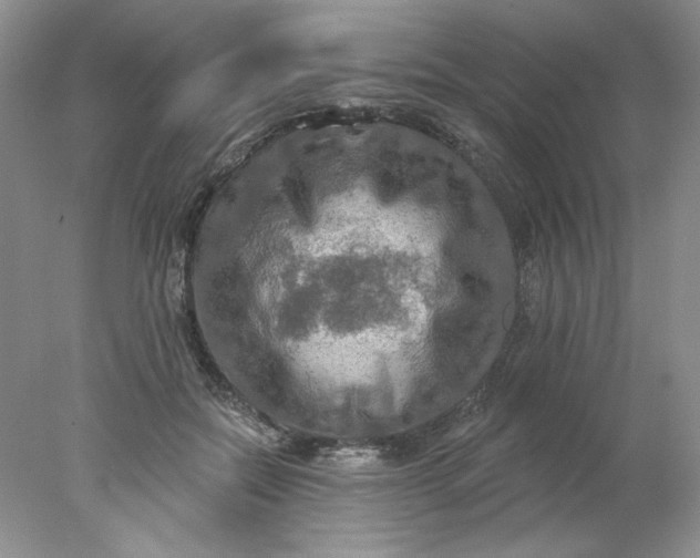 X0000078010554200611101824