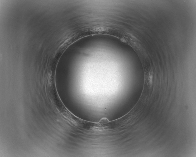 X0000078010556200611101824