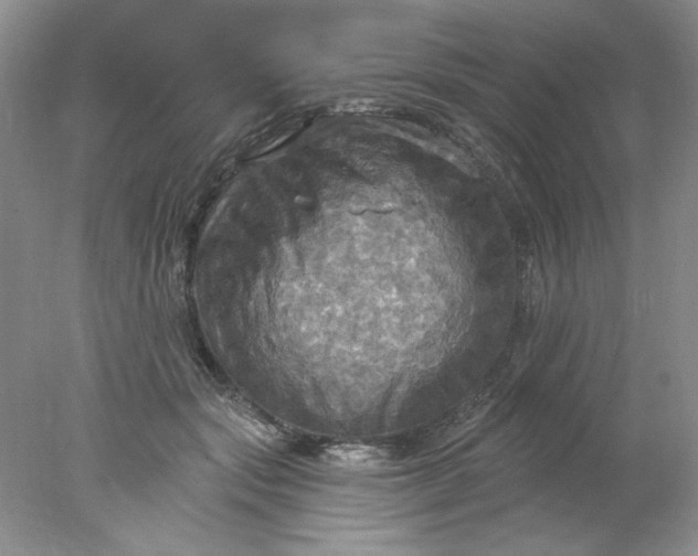 X0000078010557200611101824