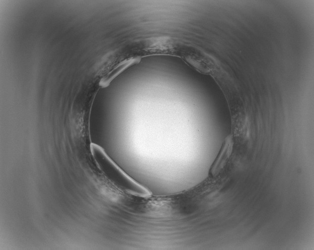 X0000078010560200611101824