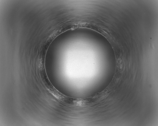 X0000078010564200611101824