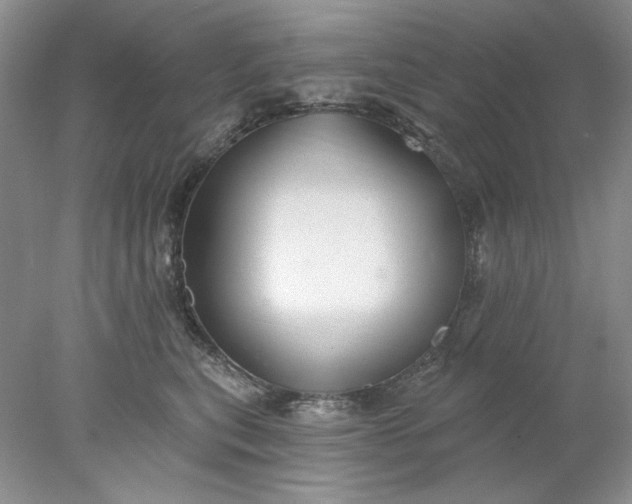 X0000078010567200611101824