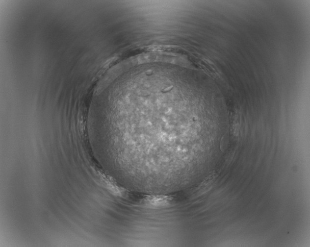 X0000078010569200611101824
