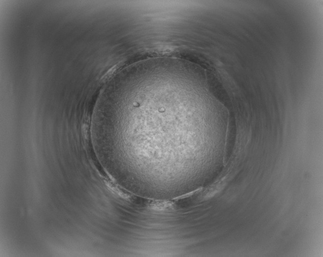 X0000078010576200611101824