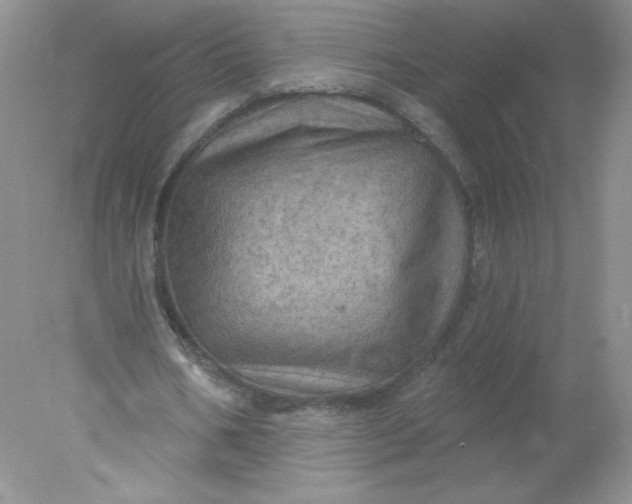 X0000078010578200611101823