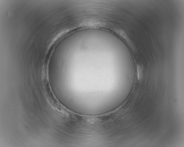 X0000078010579200611101823
