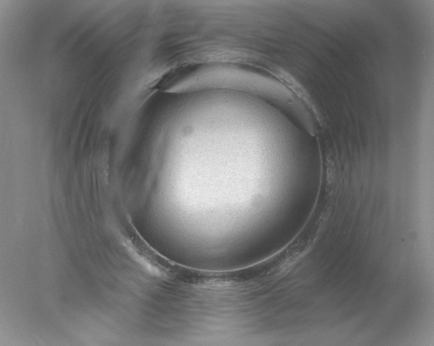 X0000078010581200611101823