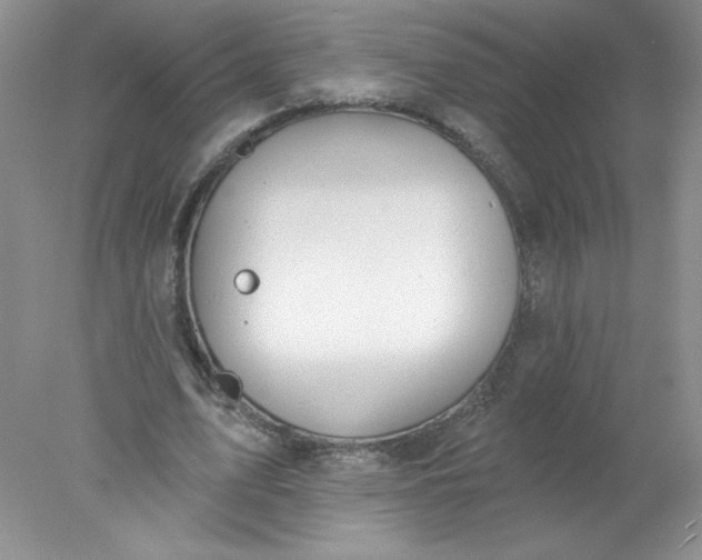 X0000078010583200611101823