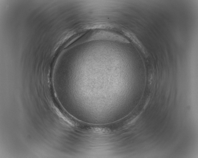 X0000078010585200611101823