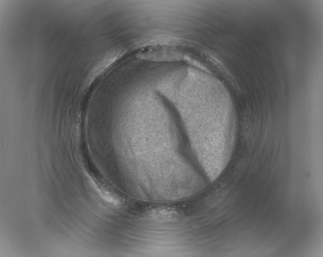 X0000078010586200611101823