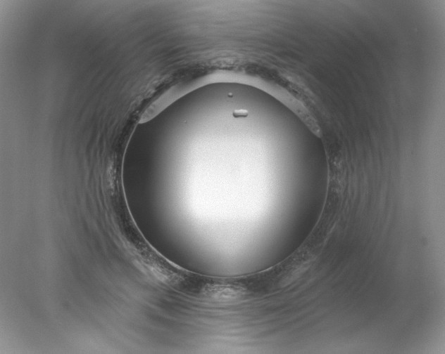 X0000078010597200611101823