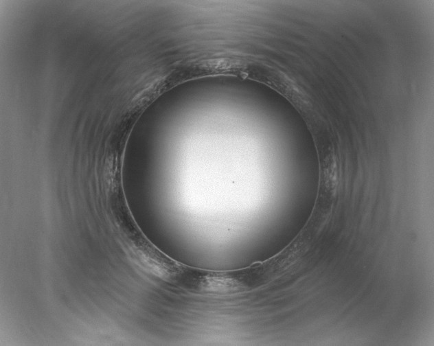 X0000078010605200611101823