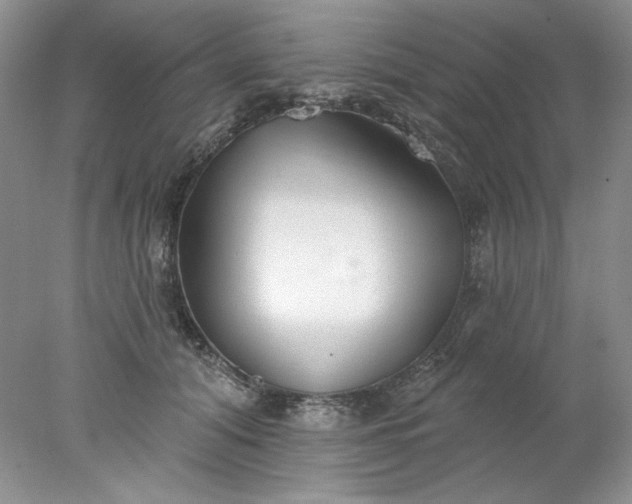 X0000078010608200611101823
