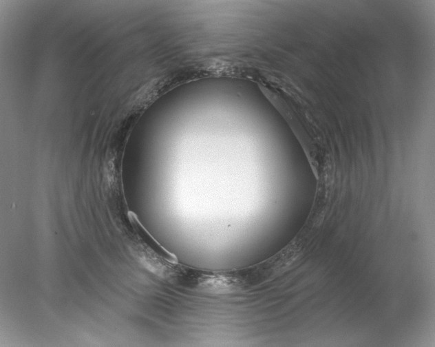 X0000078010611200611101822