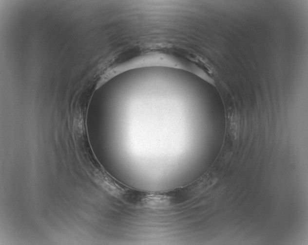 X0000078010617200611101822