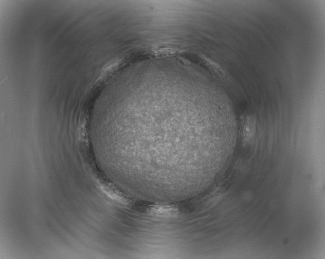 X0000078010619200611101822