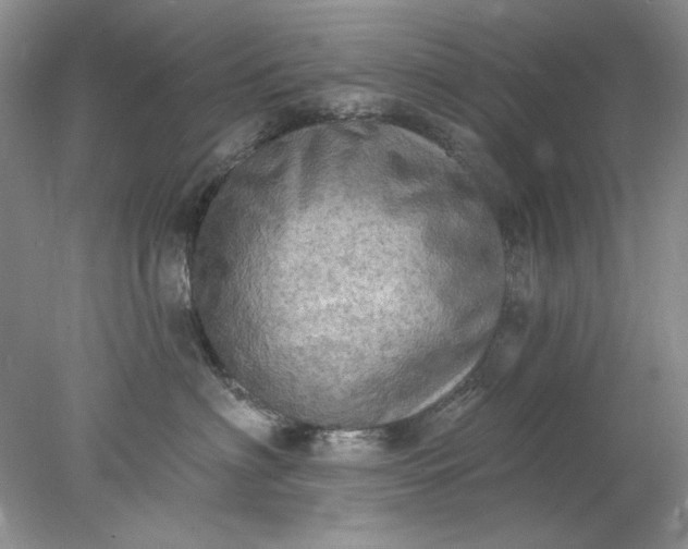 X0000078010622200611101822