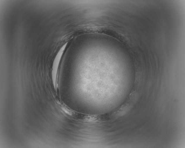X0000078010624200611101822