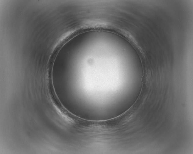 X0000078010629200611101822