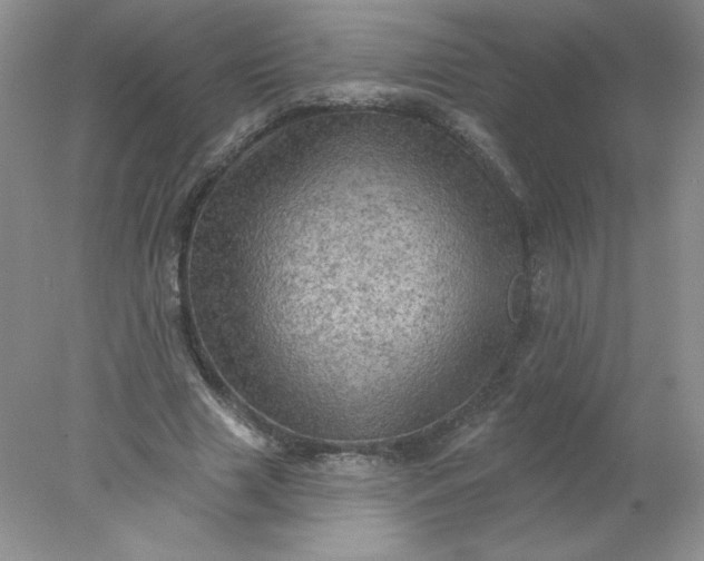 X0000078010633200611101822