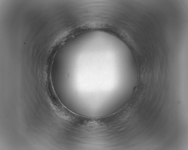 X0000078010635200611101822