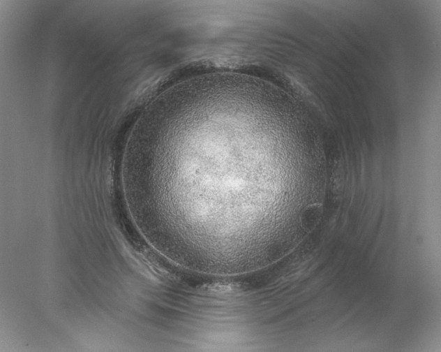 X0000078010639200611101822