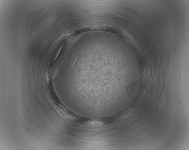 X0000078010644200611101822